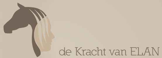 De Kracht van Elan - Lochem